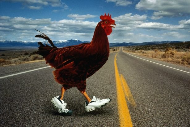 Chicken road jeu d'argent, chicken road slot